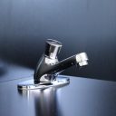 Lirlee Push Pillar Tap Delay Self-Closing Basin Push Button Faucet