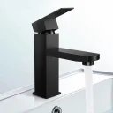 black-basin-mixture